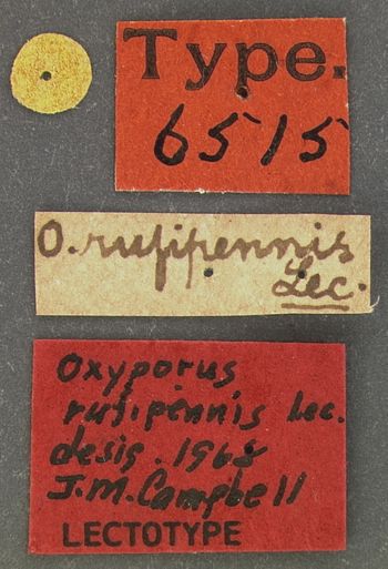 Media type: image;   Entomology 6515 Aspect: labels